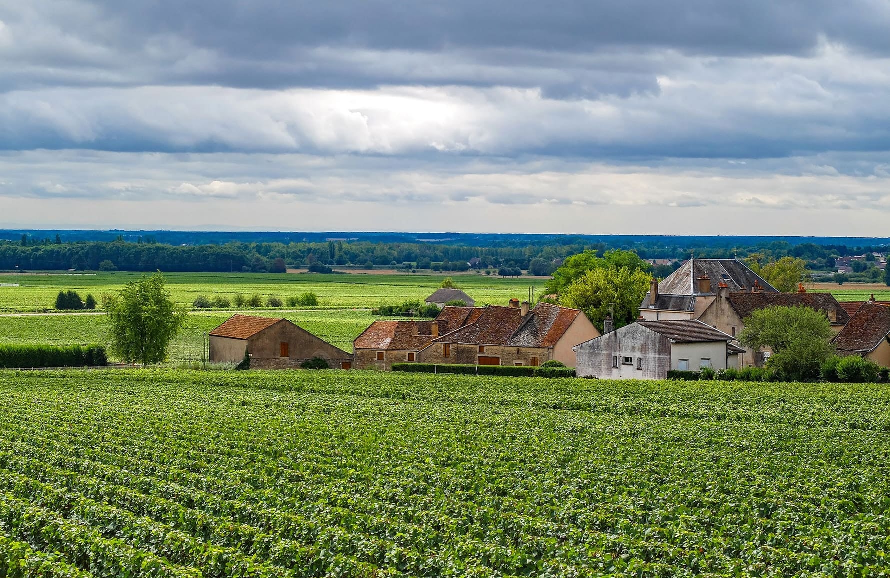 Vins Domaine Faiveley