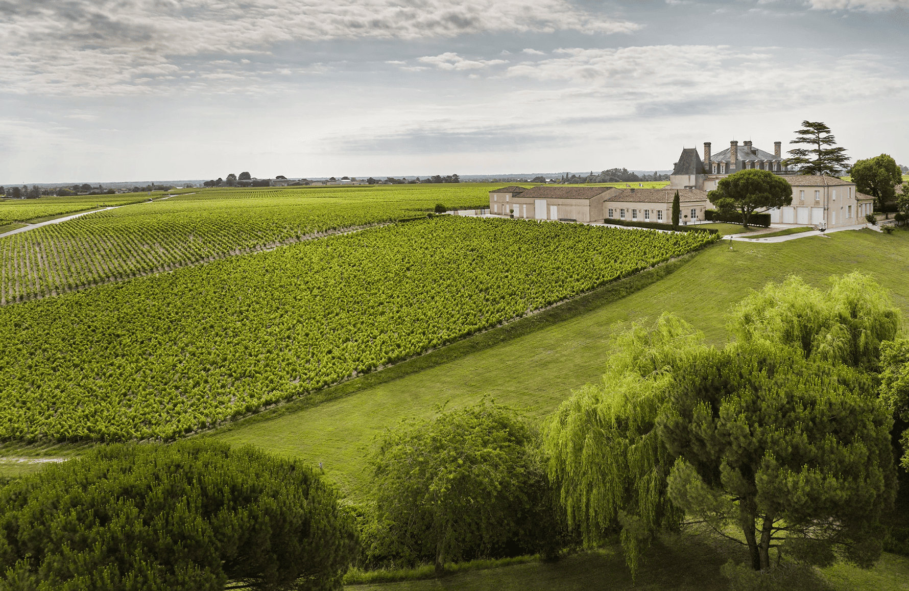 Vins Château Grand-Puy-Lacoste