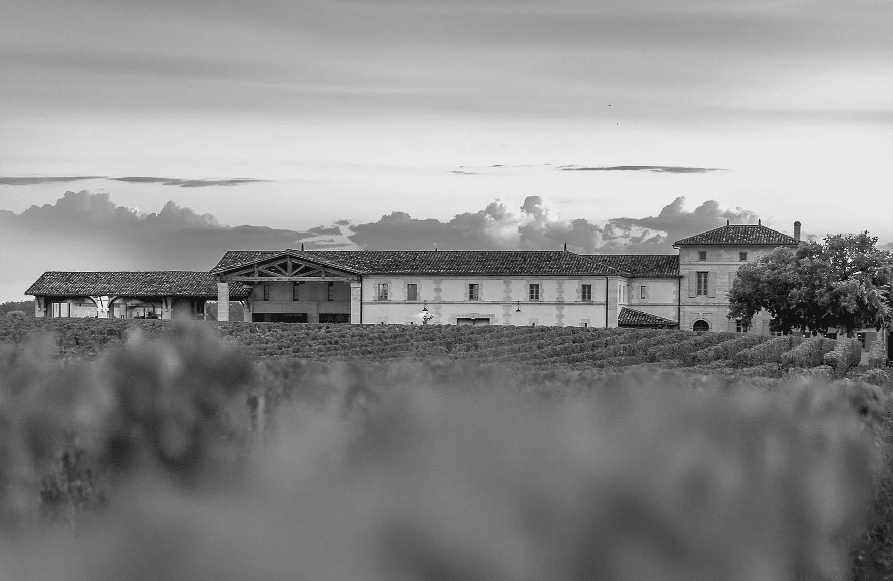 Vins Château Lafleur