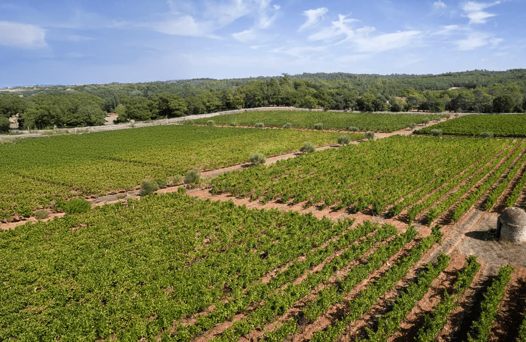 Vins Château Peyrassol