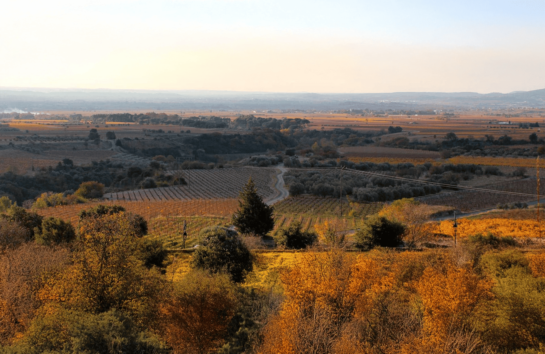 Vins Domaine de la Réserve d'O