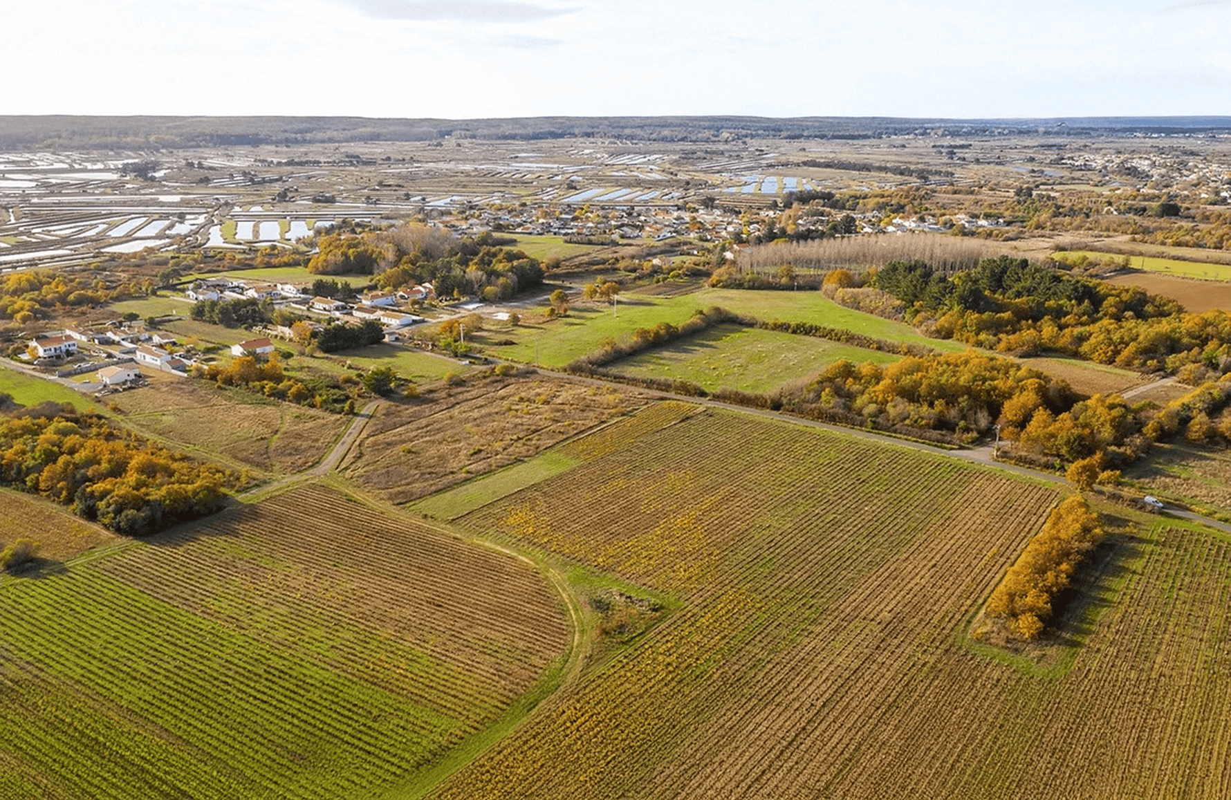 Vins Domaine Saint-Nicolas