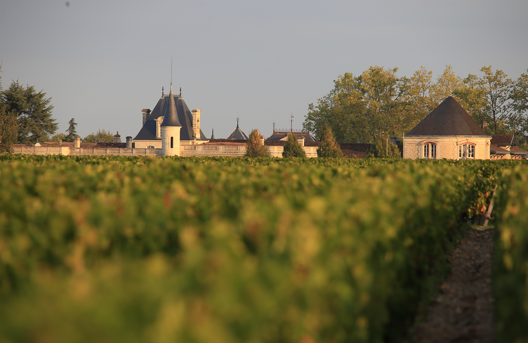 Wines Durfort-Vivens Castle
