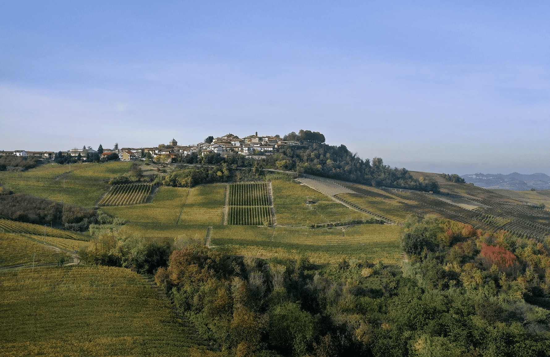 Vins Fratelli Alessandria - Italie