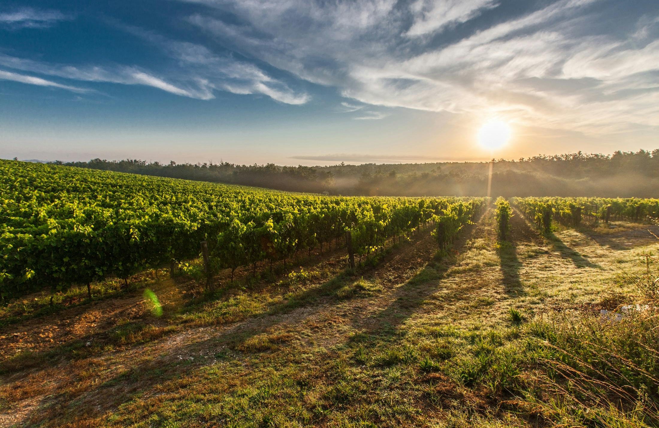 Vins Clos des Reboussiers