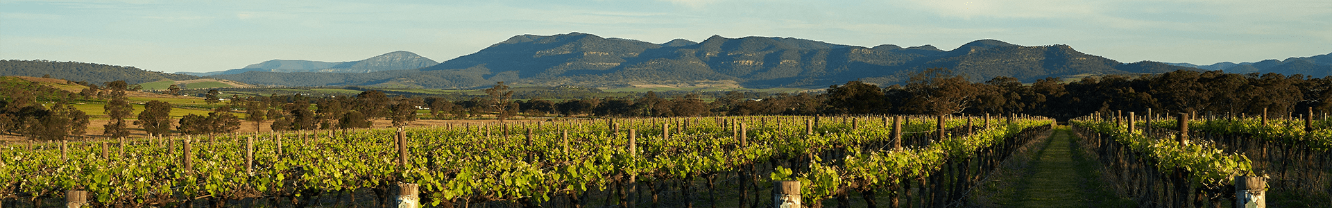 Penfolds - Australie