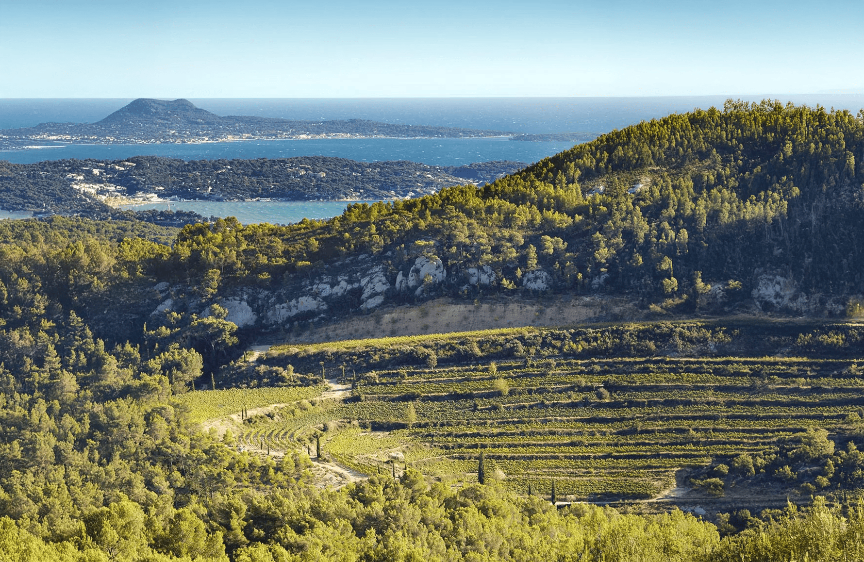 Château de Pibarnon