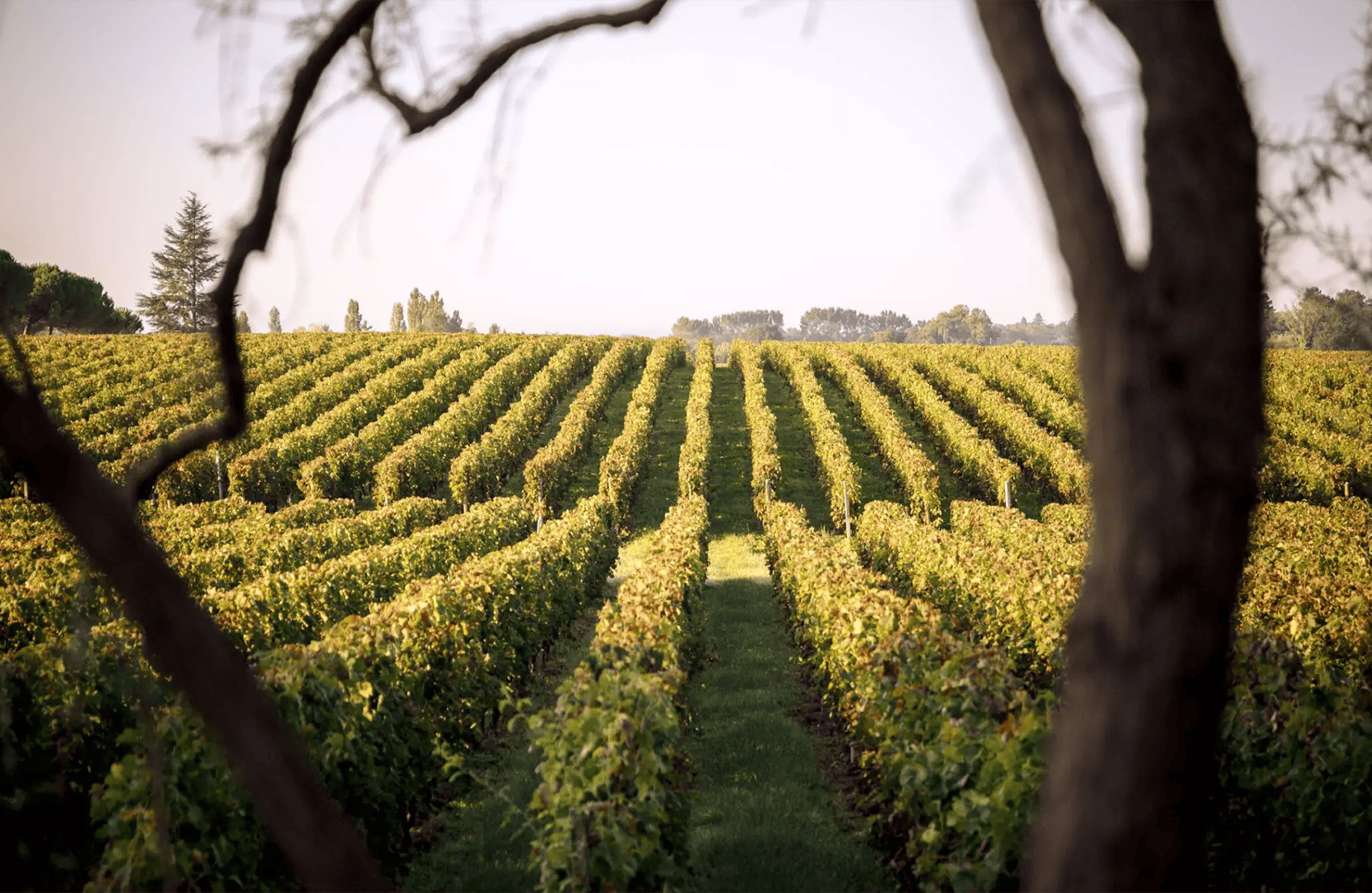 Château Duhart-Milon