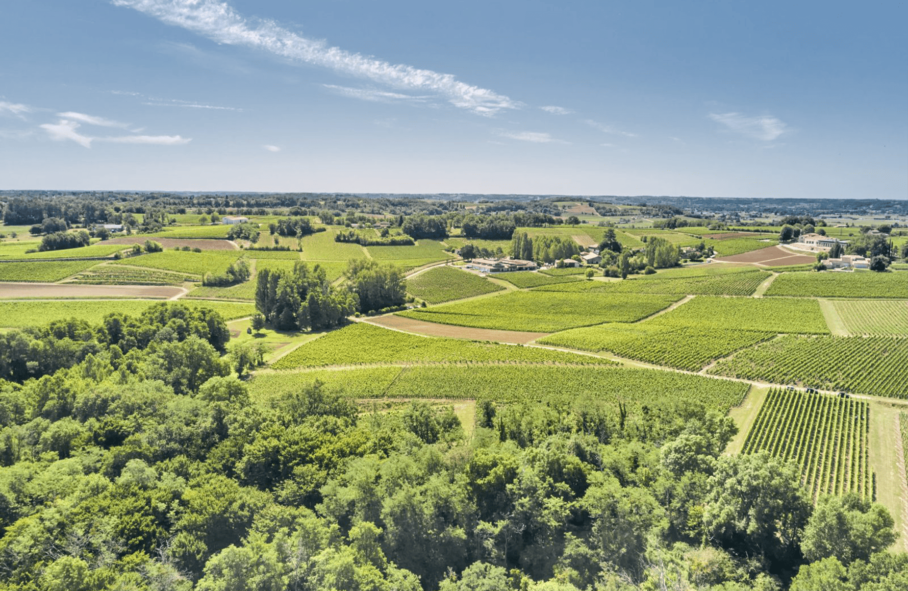 Château Fleur Cardinale