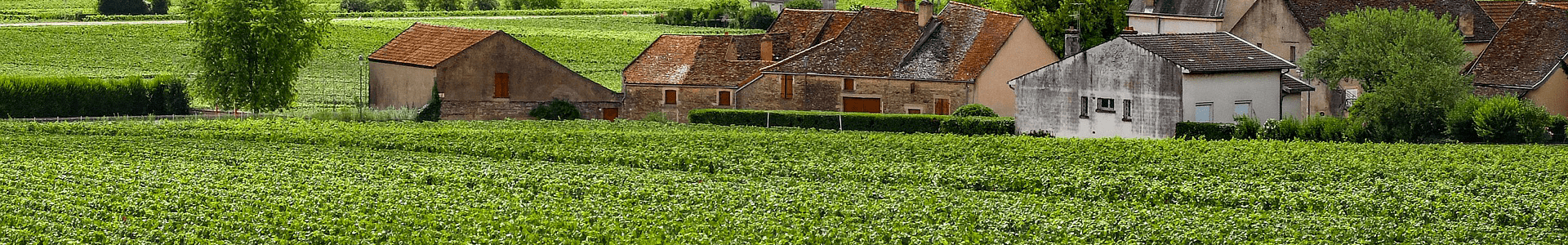 Domaine Taupenot-Merme