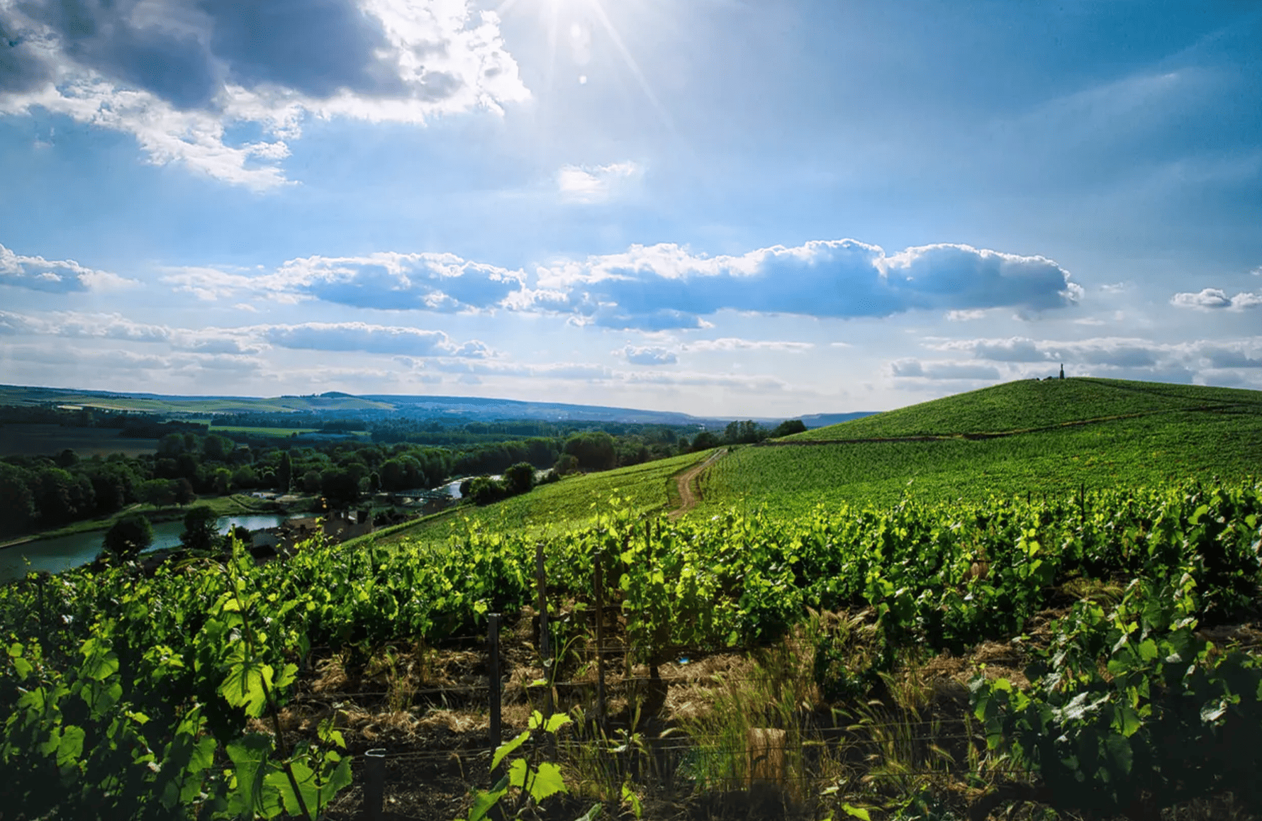 Champagne Philipponnat