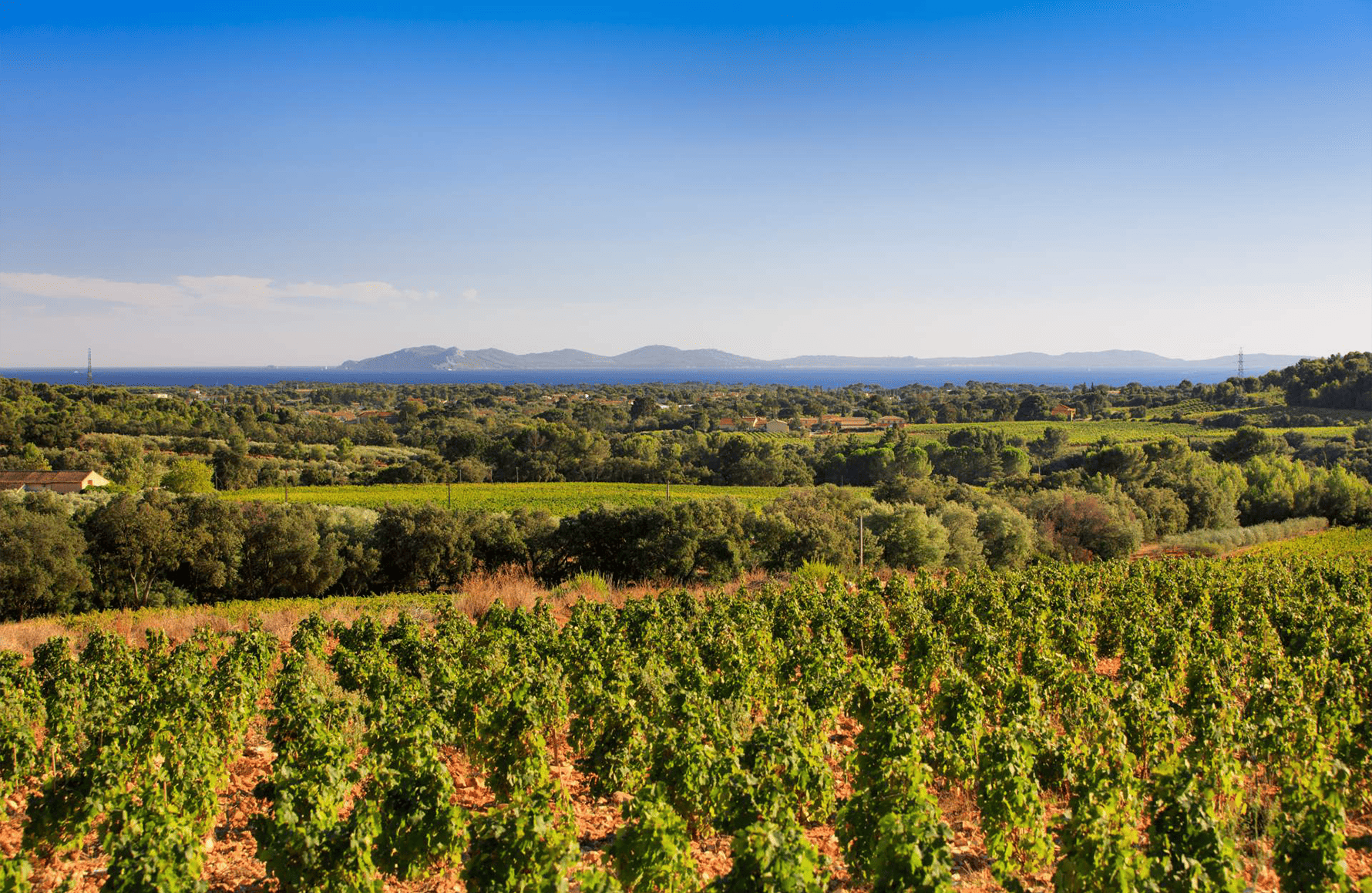 Château Les Valentines