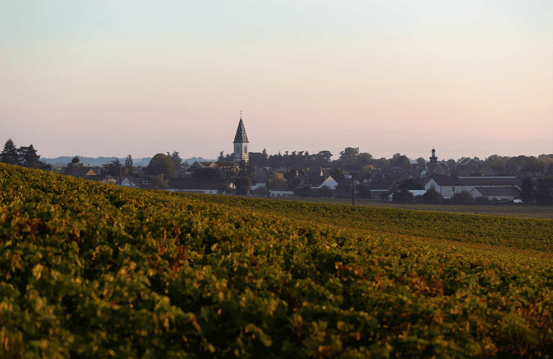 Gouges Carte Au Domaine Henri Gouges | Cavissima