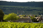 Domaine Leflaive