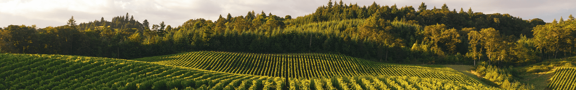 Vérité - Etats-Unis