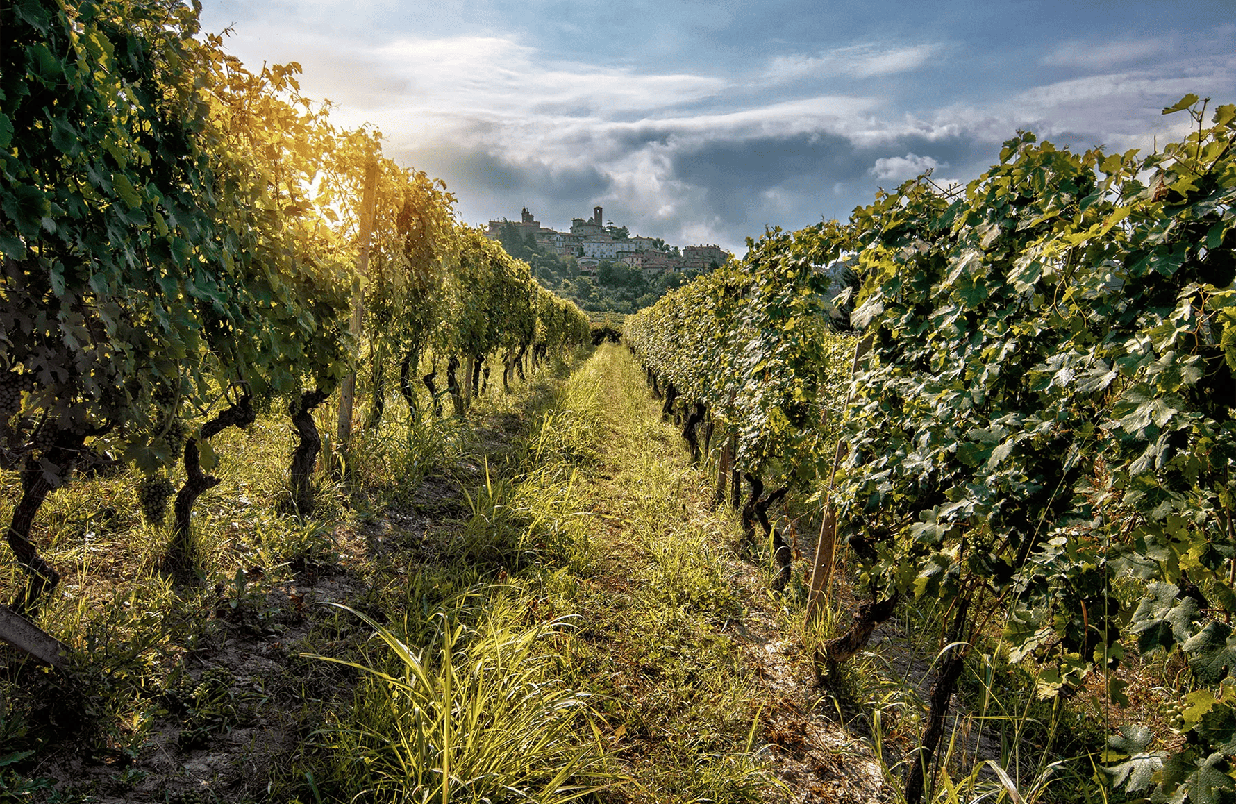 La Spinetta - Italie