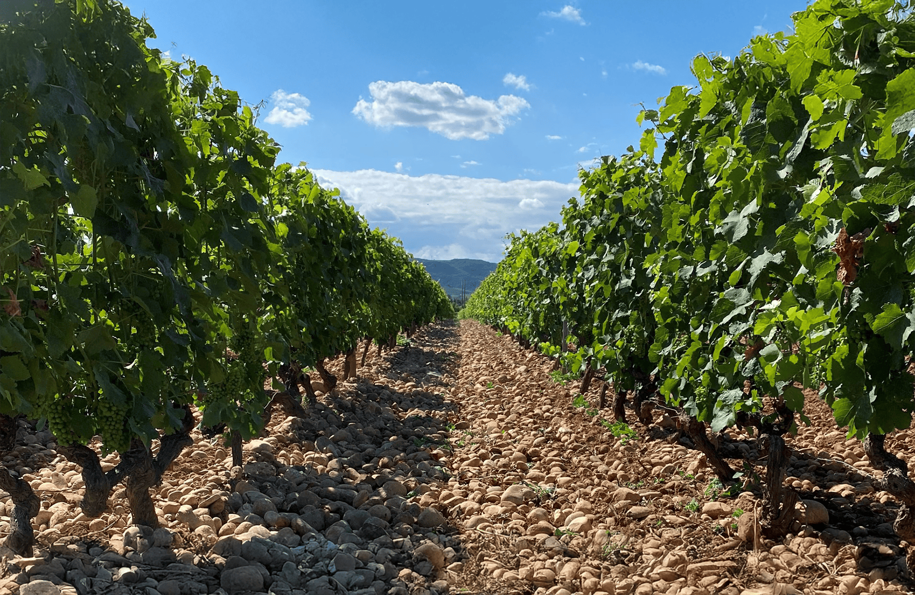 Domaine des Hauts-Châssis