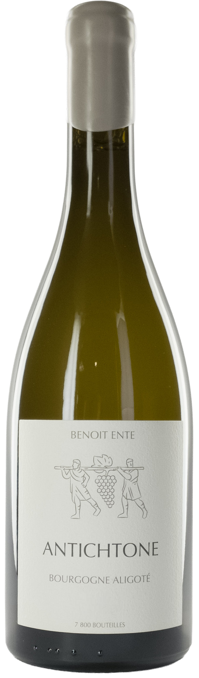 Domaine Benoit Ente - Bourgogne Aligoté Antichtone 2020 - Bourgogne Aligoté