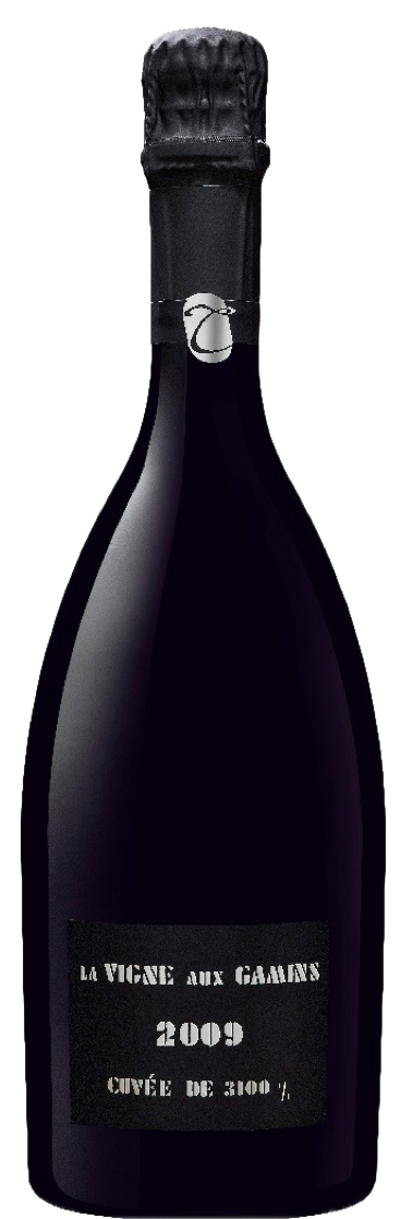 Champagne Thiénot - Champagne Brut Grand Cru La Vigne aux Gamins 2009