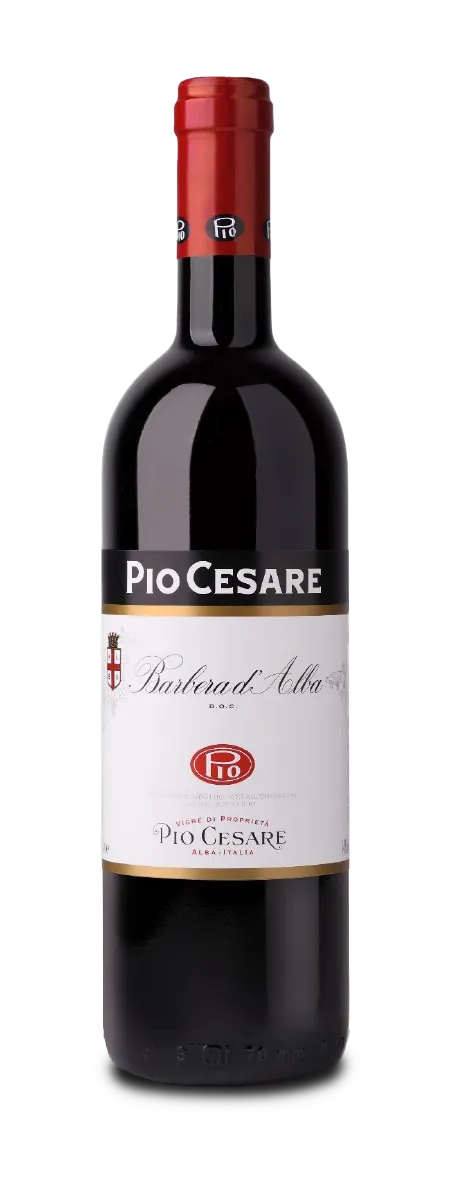 Pio Cesare - Barbera dAlba 2020