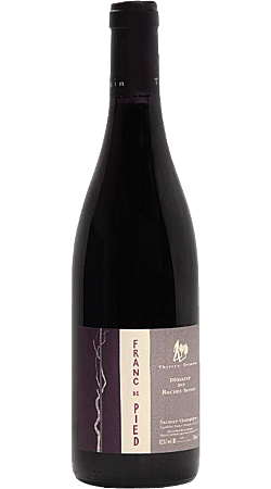 Domaine des Roches Neuves - Franc de Pied 2022 - Saumur Champigny