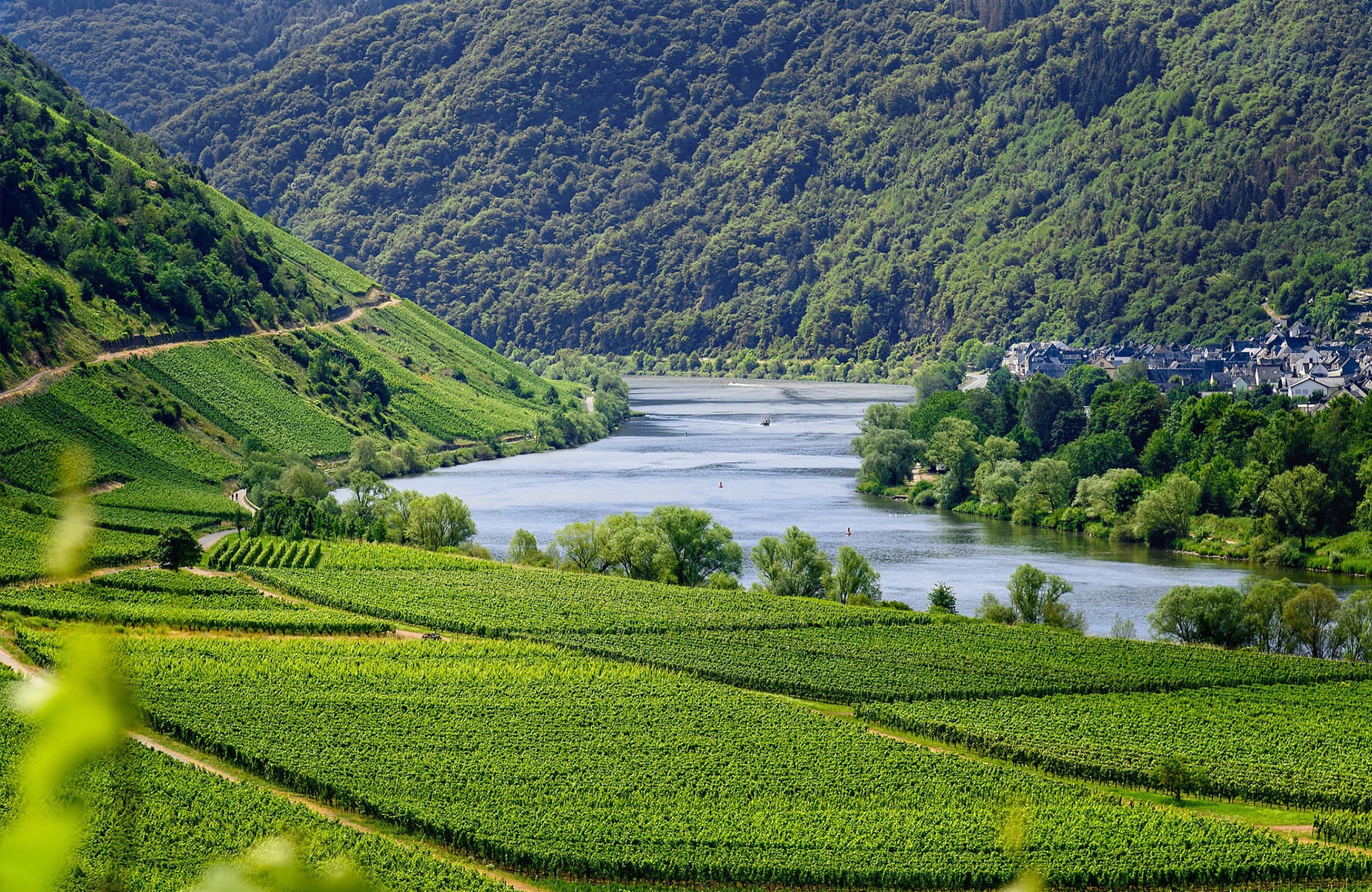 Vins Prieuré Saint Jean de Bébian