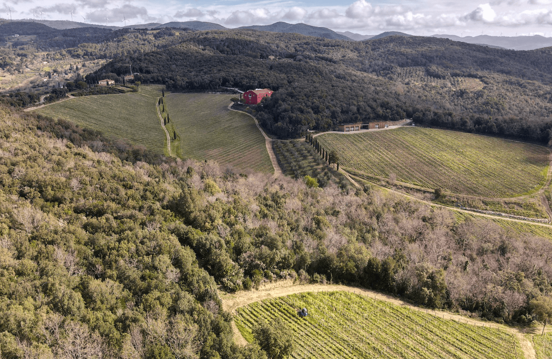Wines Caiarossa - Italy