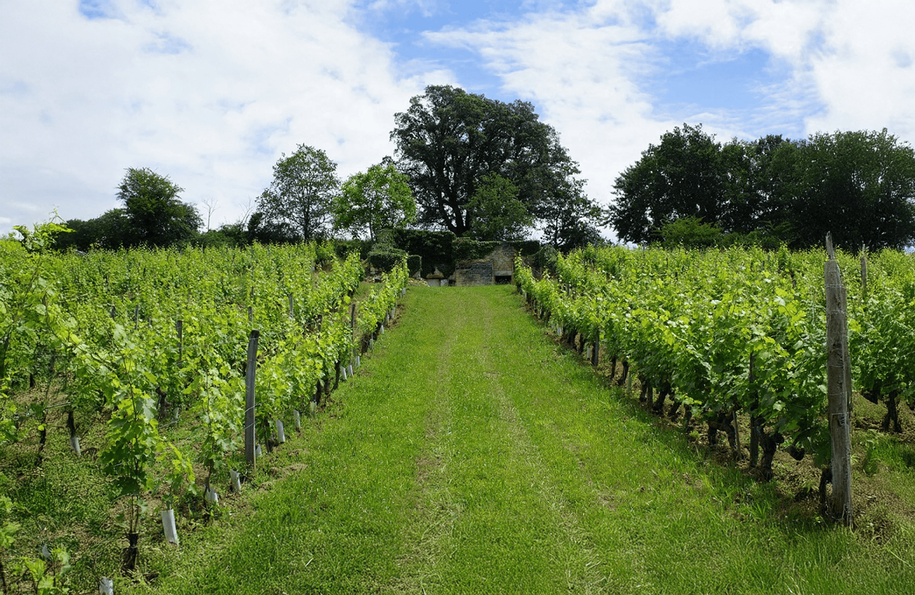 Wijnen Charles Joguet