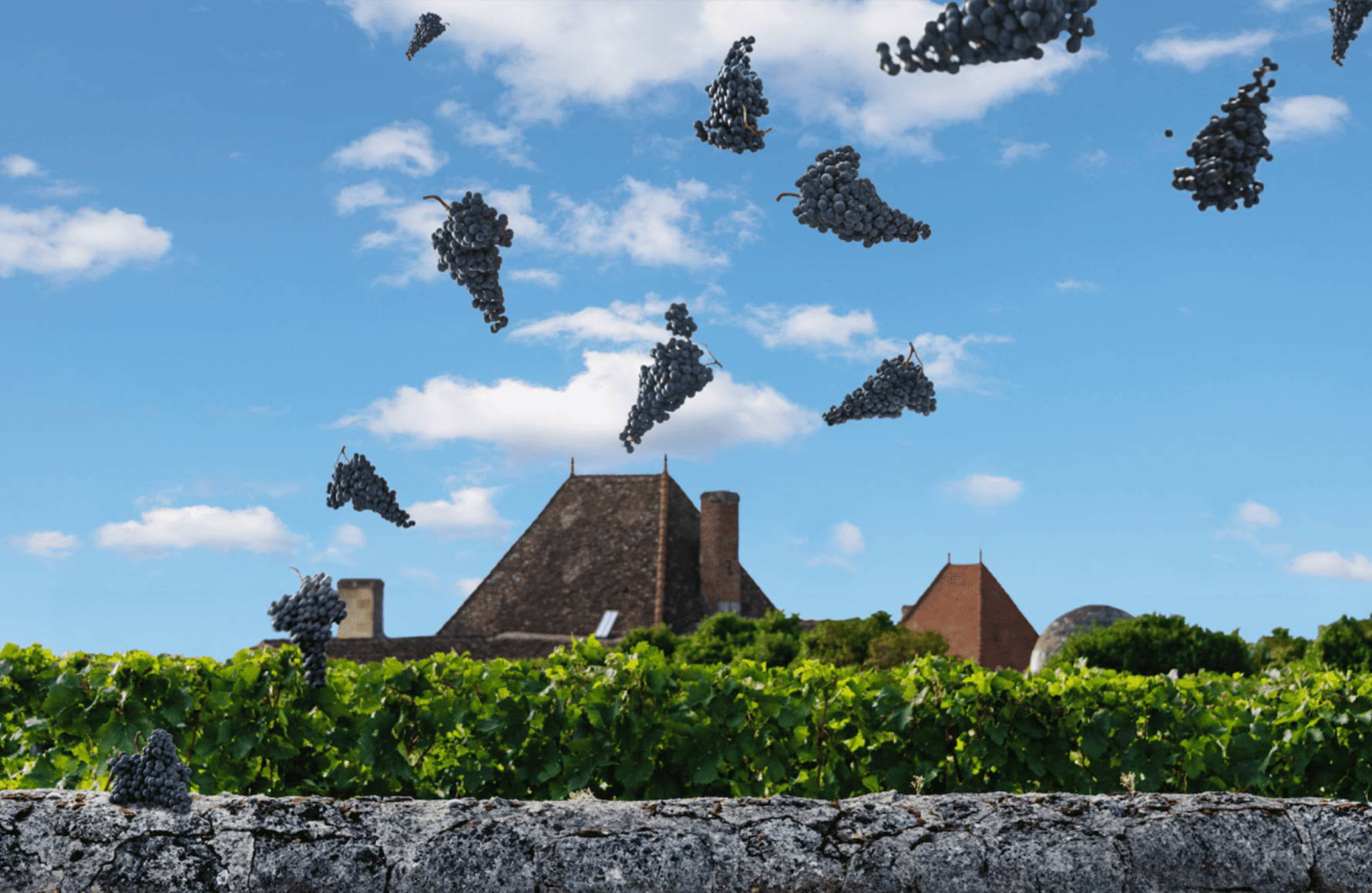 Vins Château Bélair-Monange