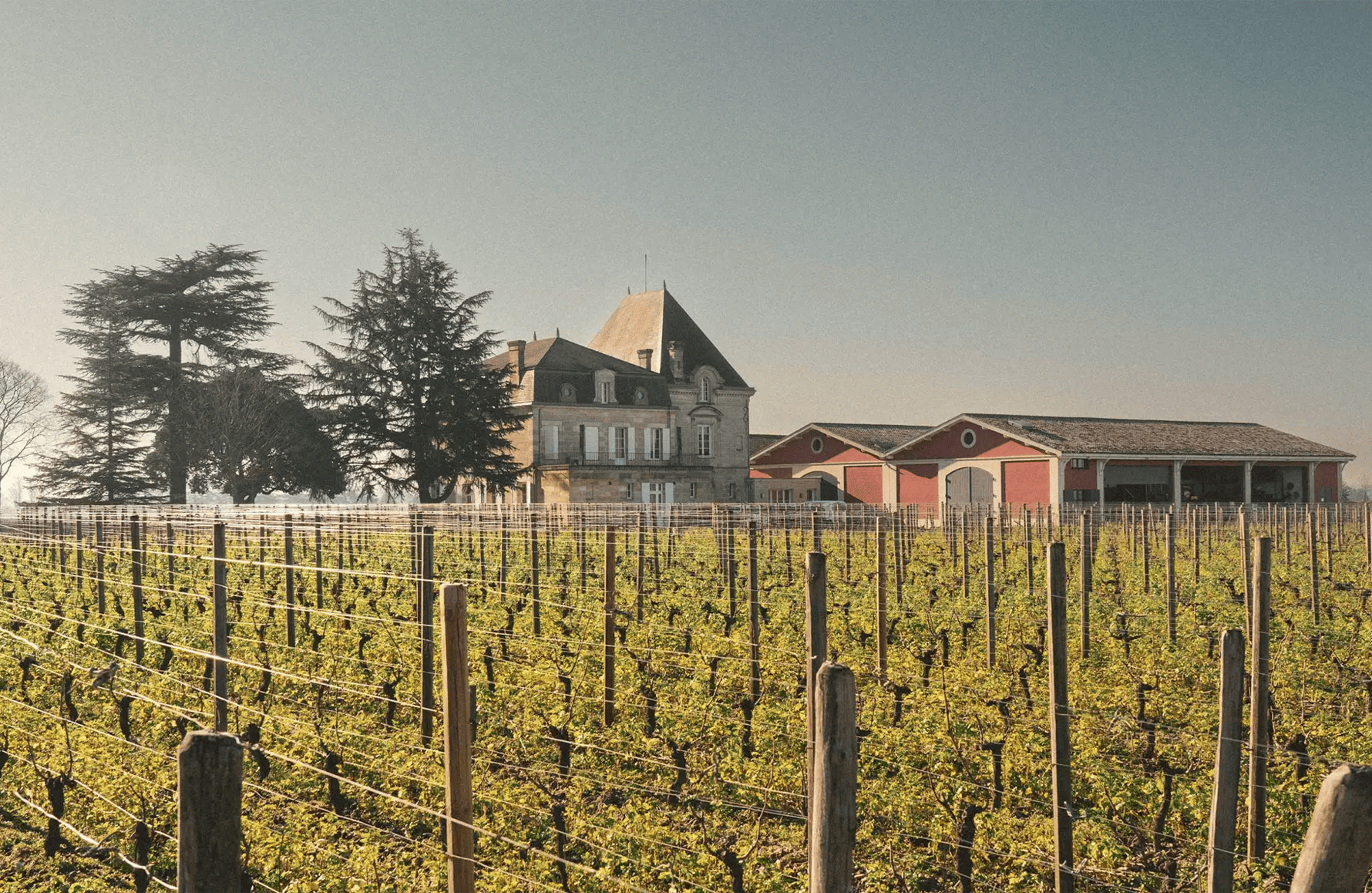 Vins Château L'Evangile