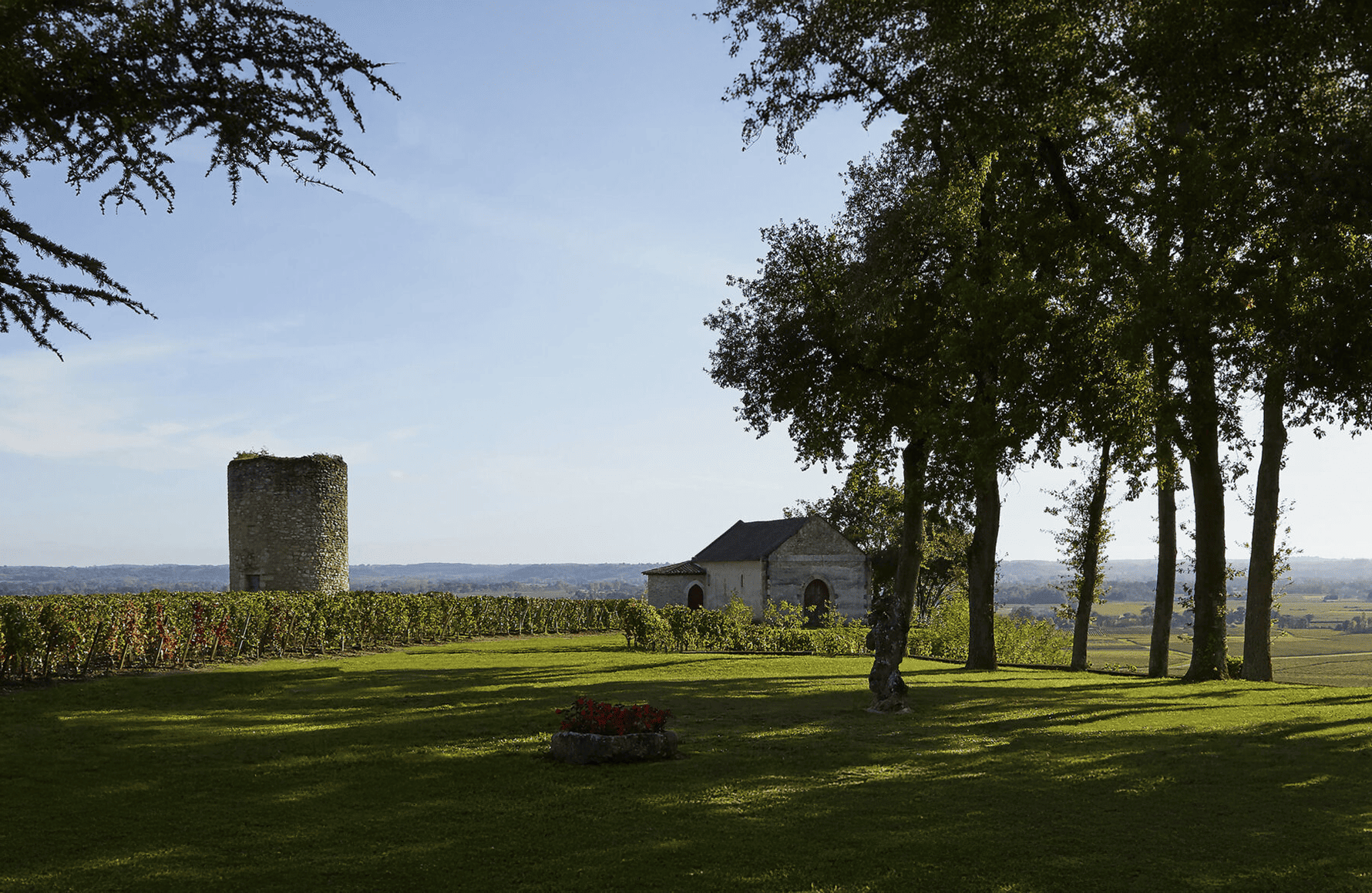 Vins Château De Pressac