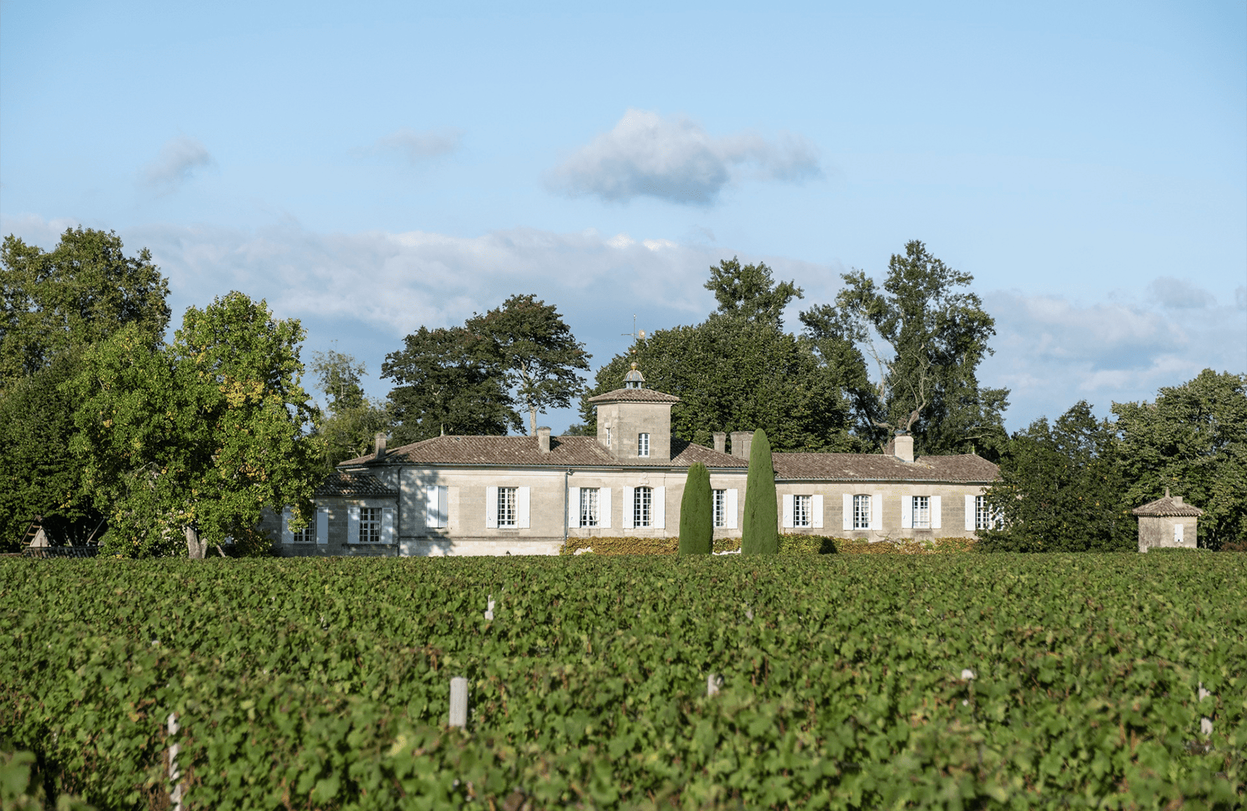 Wines Château Gazin