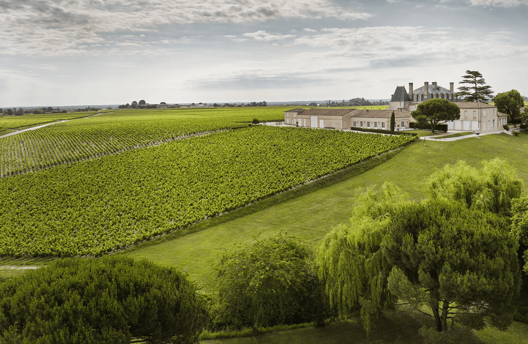 Vins Château Grand-Puy-Lacoste