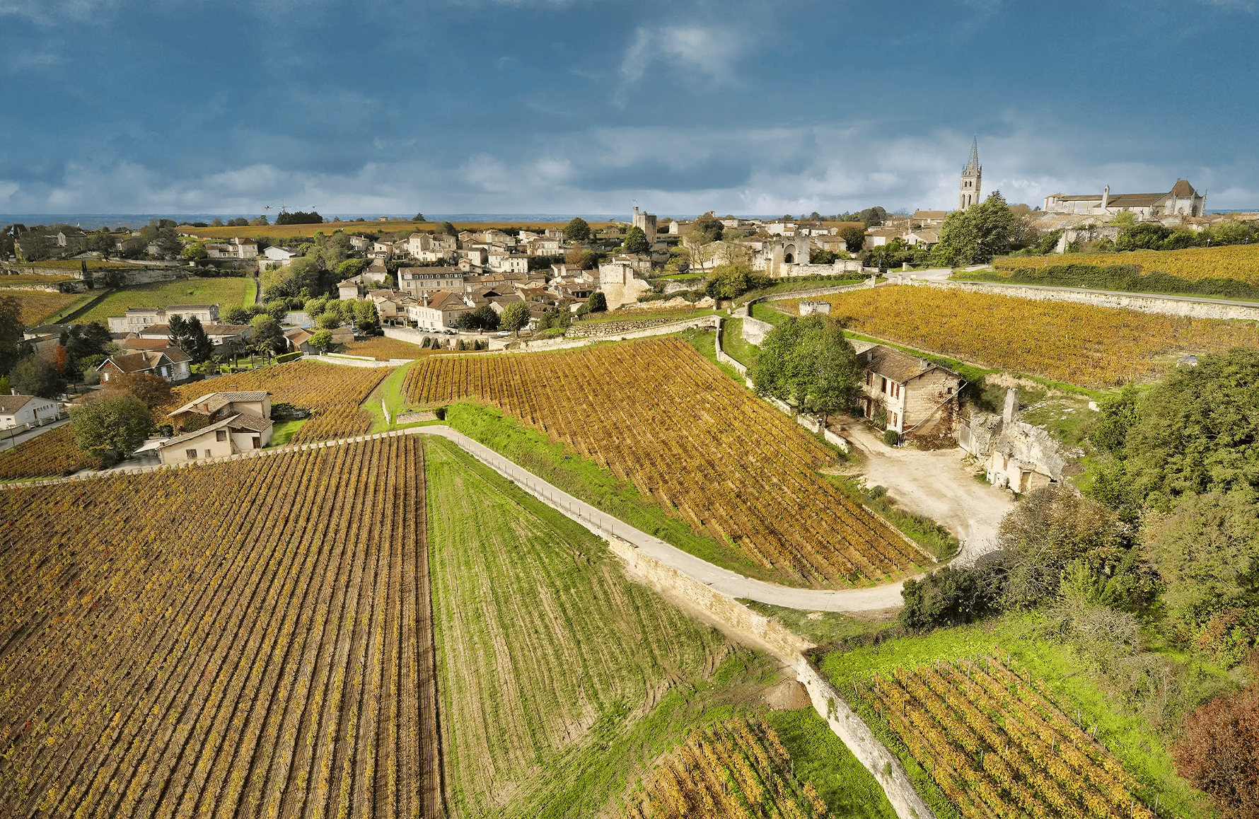 Vins Château La Clotte