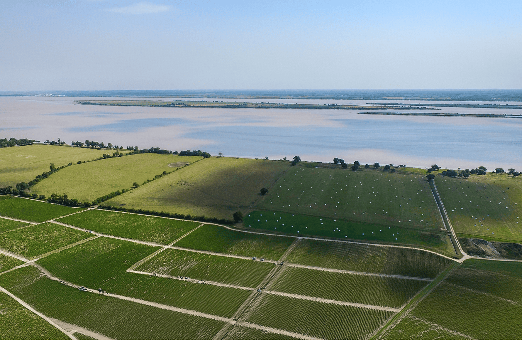 Vins Château Léoville Las Cases