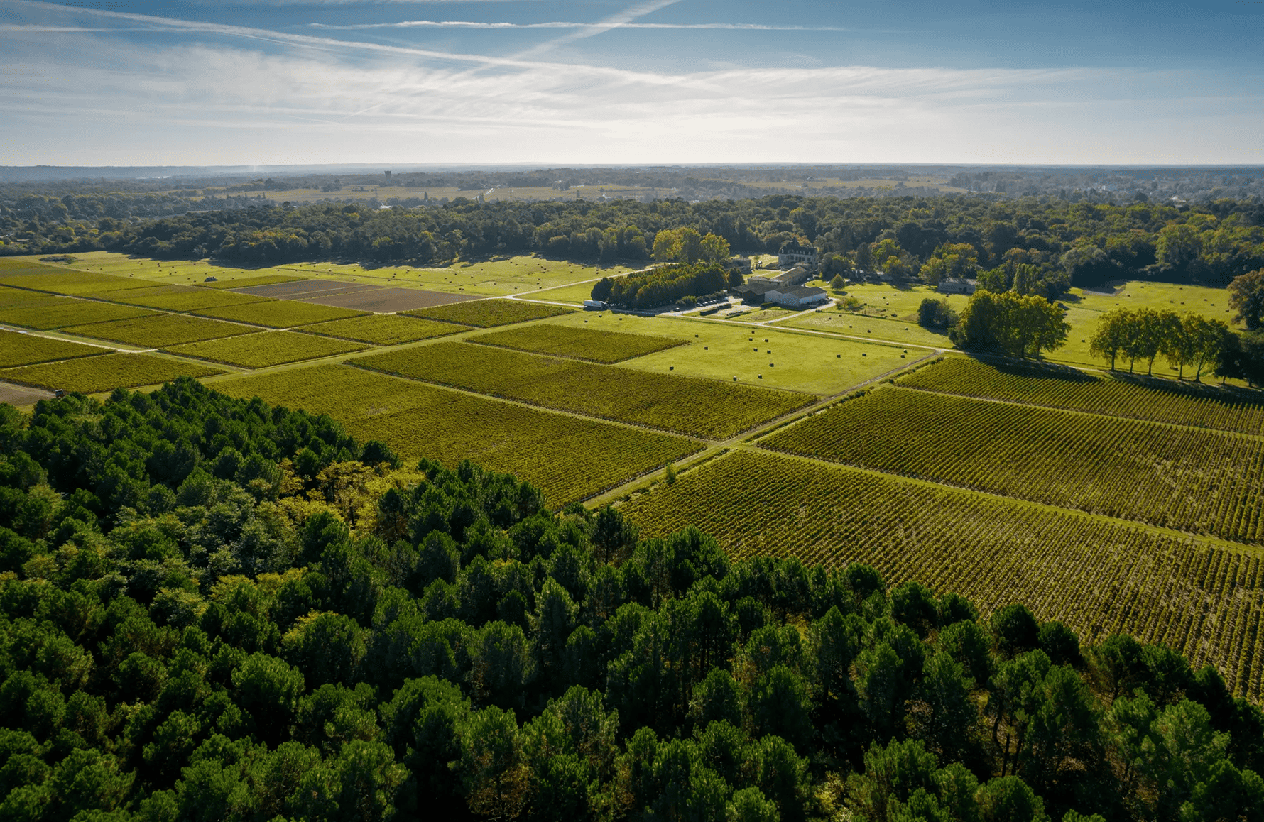 Vins Château Olivier