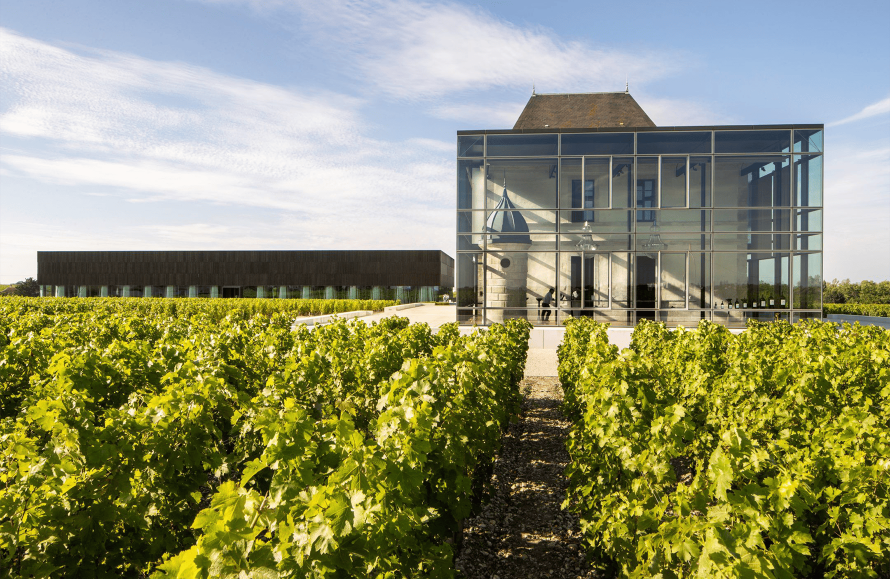 Vins Château Pedesclaux