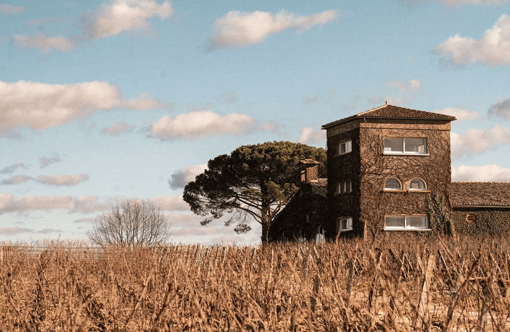 Wijnen Château Rieussec