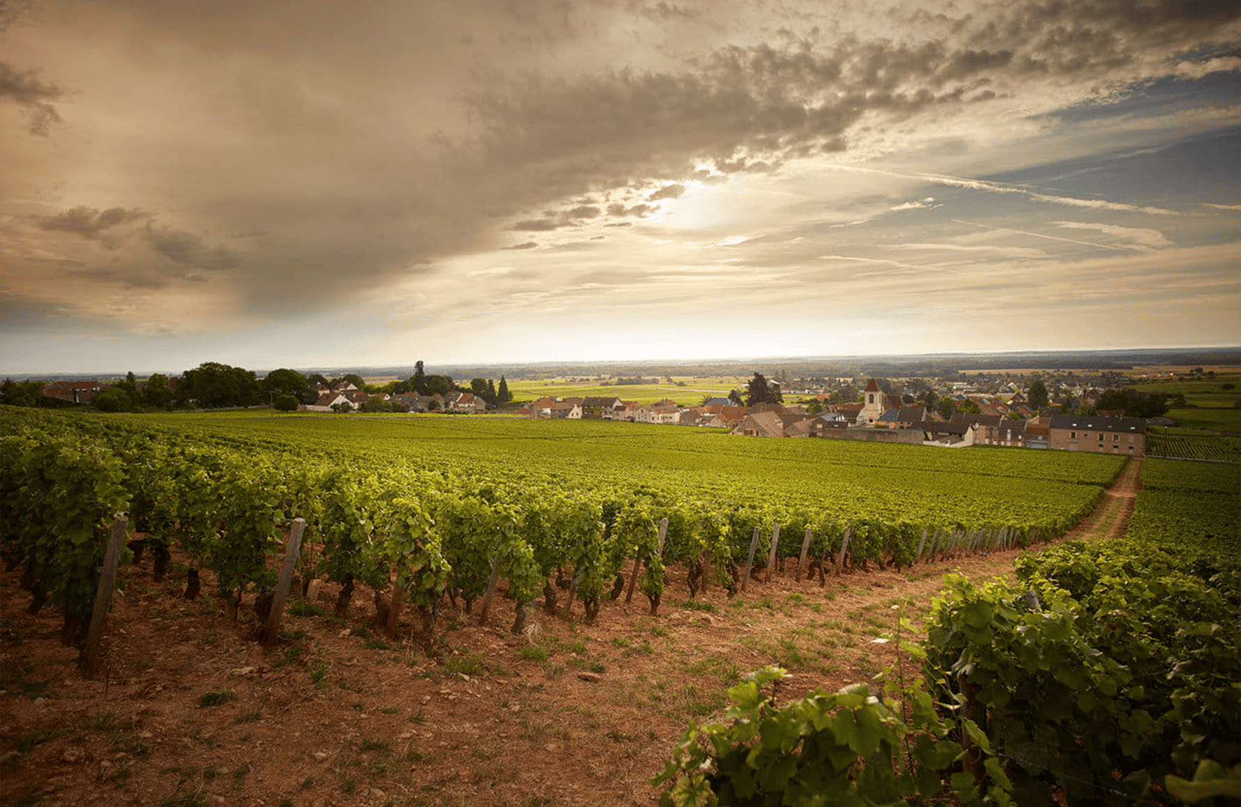 the story of Clos de Tart