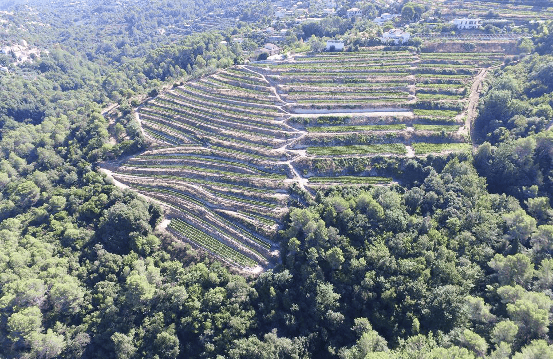 Vins Clos Saint Vincent