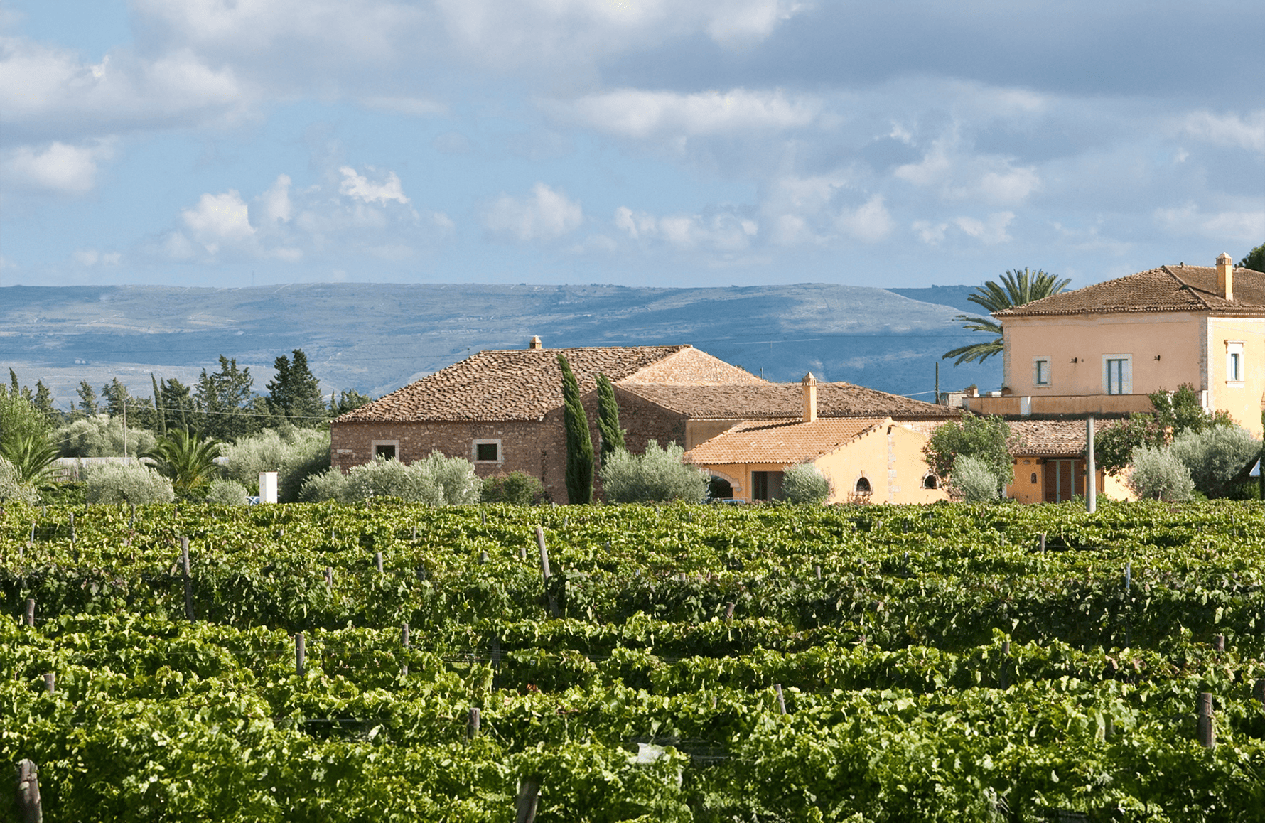 l’histoire du COS - Italie