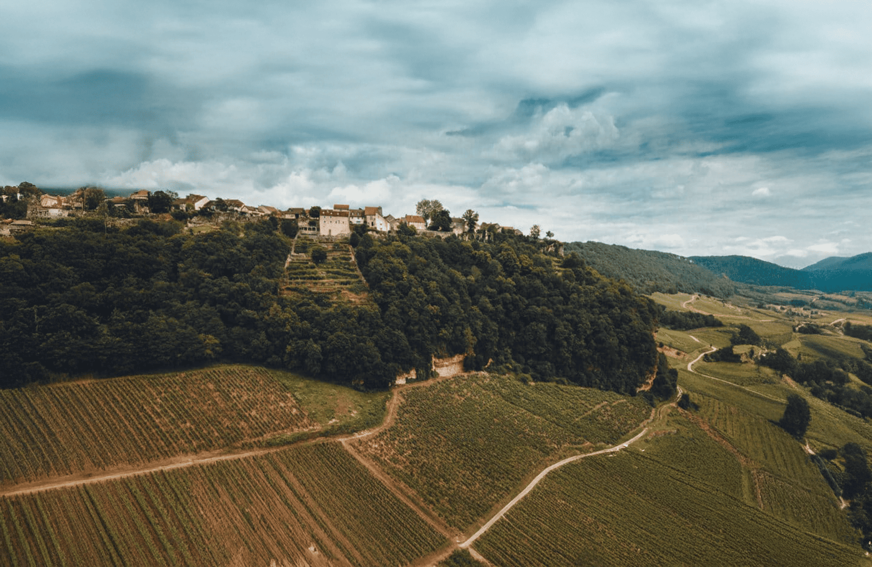 Vins Domaine Berthet-Bondet