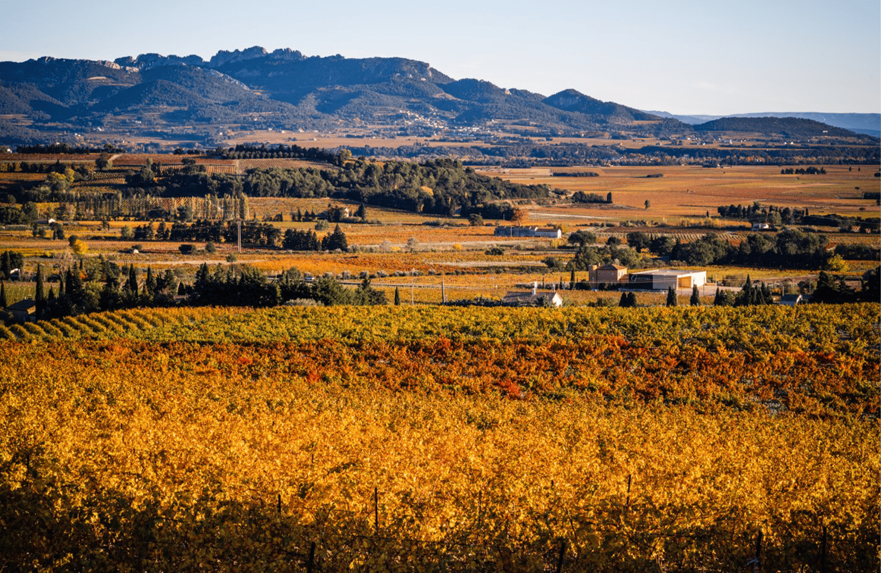 Vins Domaine Boisson