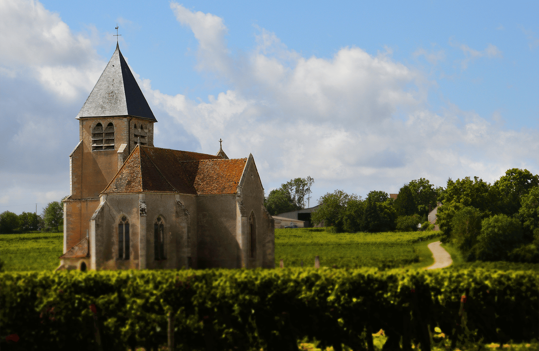 Vins Famille Brocard