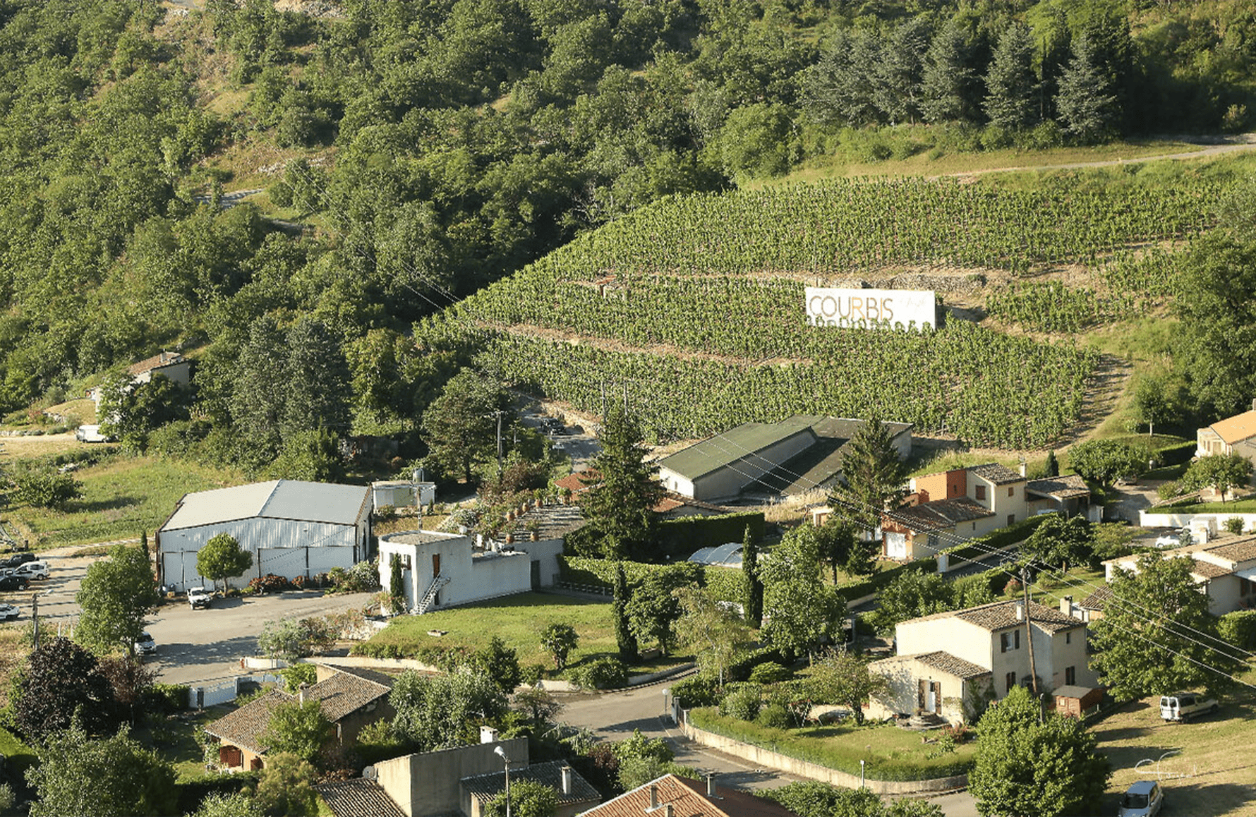 Wines Domaine Courbis