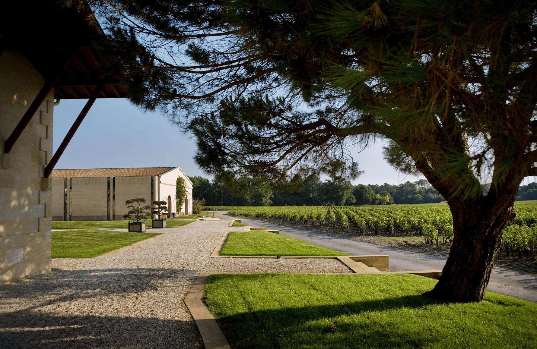 Wijnen Domaine van Chevalier