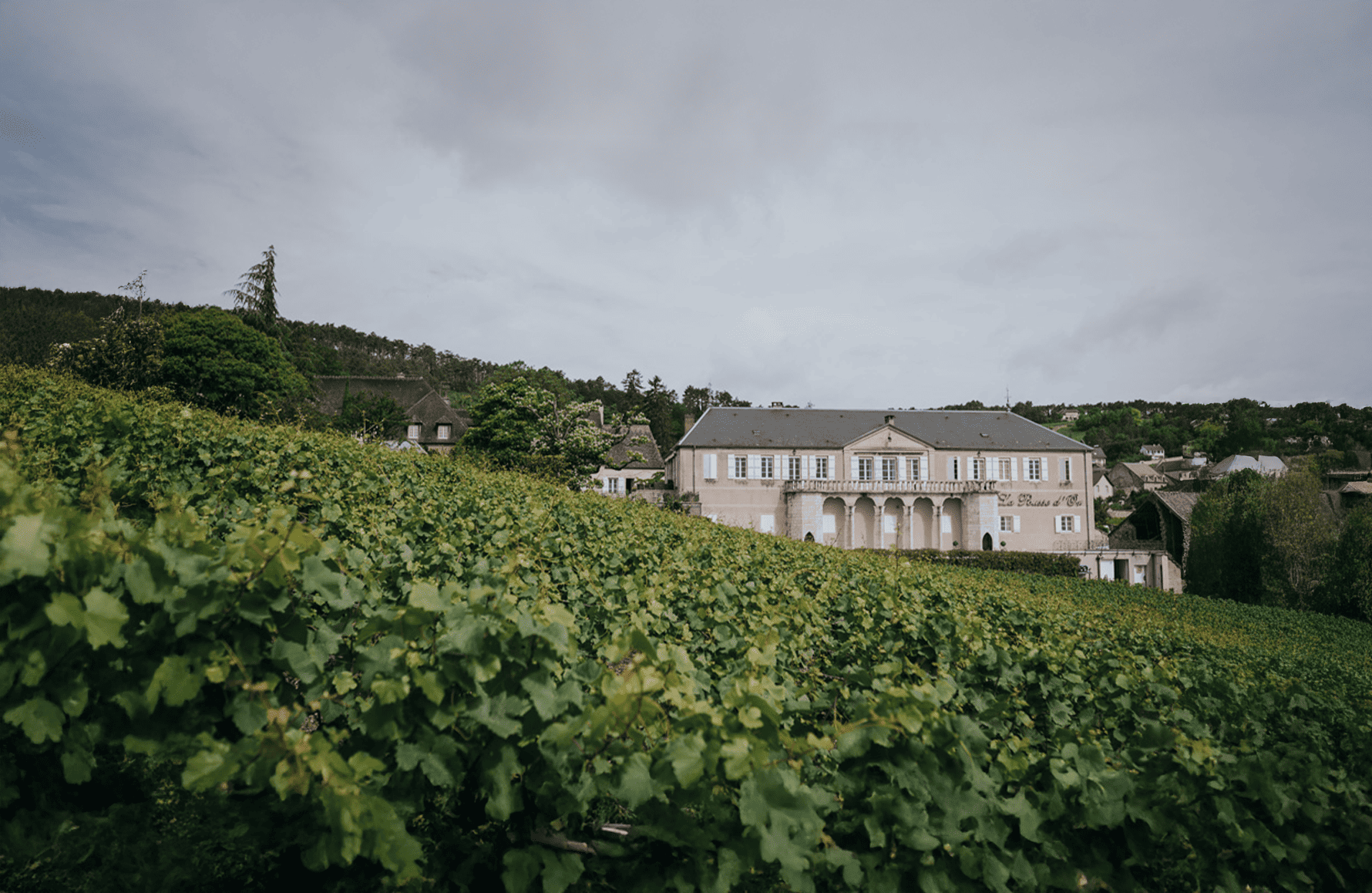 Wines Domaine de La Pousse d'Or