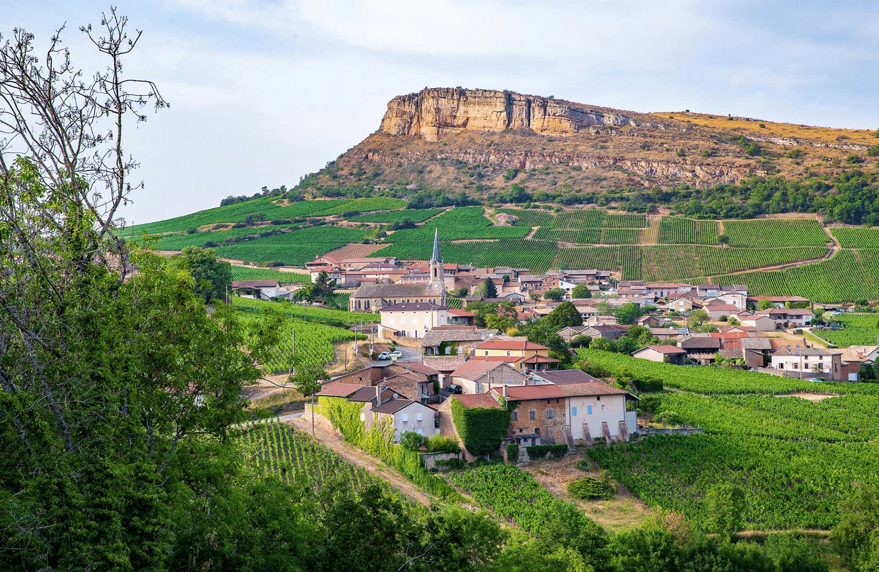 de geschiedenis van Domaine Guffens-Heynen
