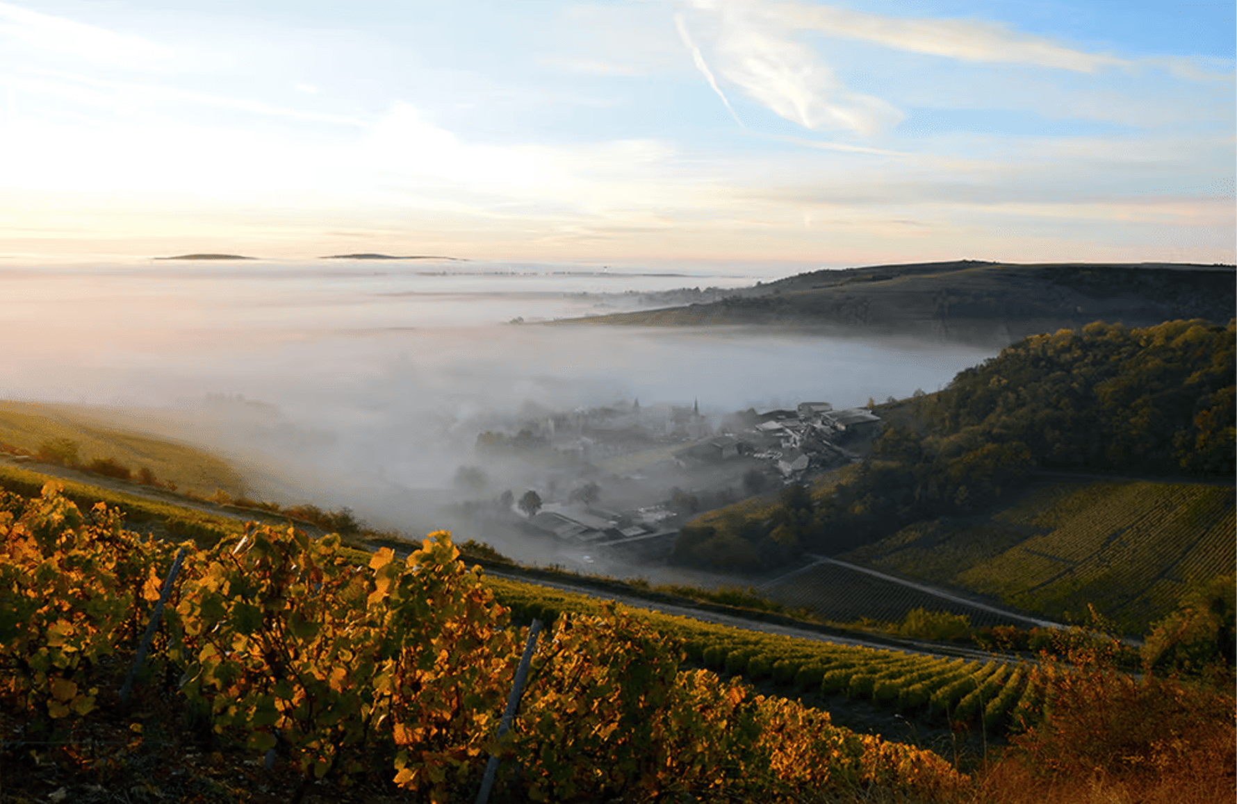 de geschiedenis van Domaine Henri Bourgeois