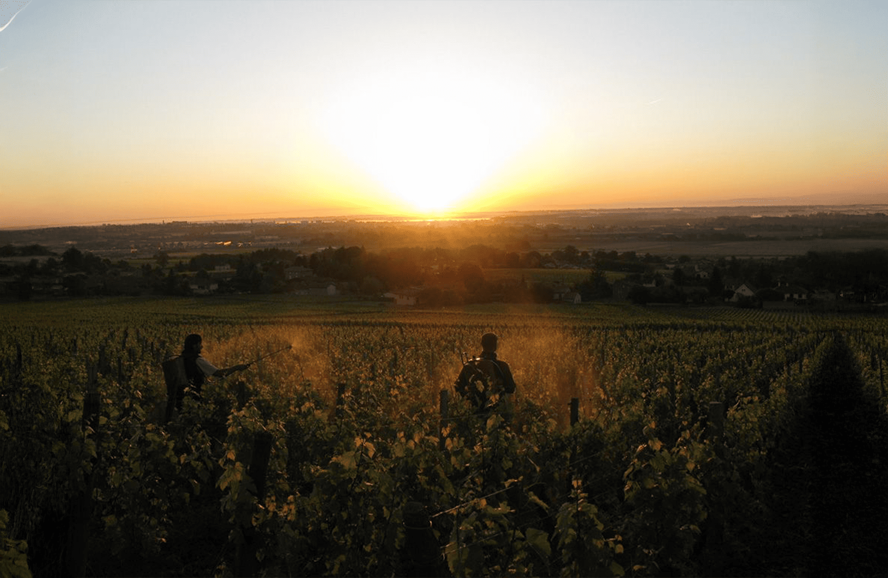 Vins Domaine La Soufrandière